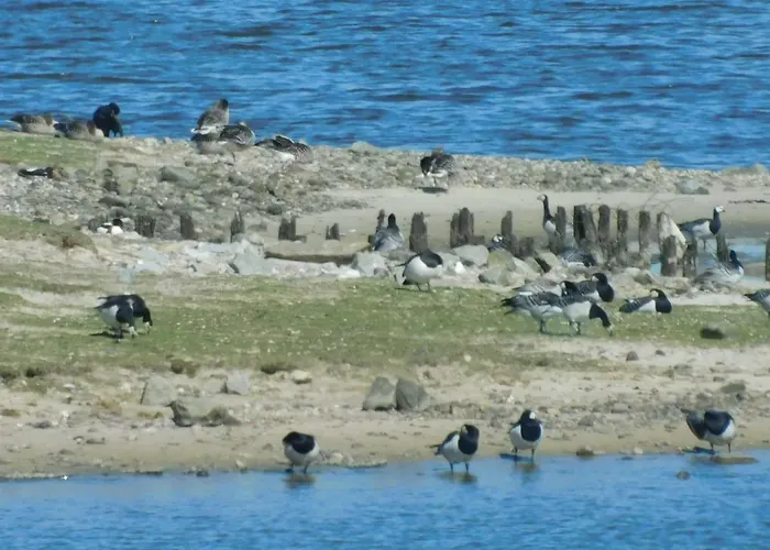 Διαμέρισμα Nordsee